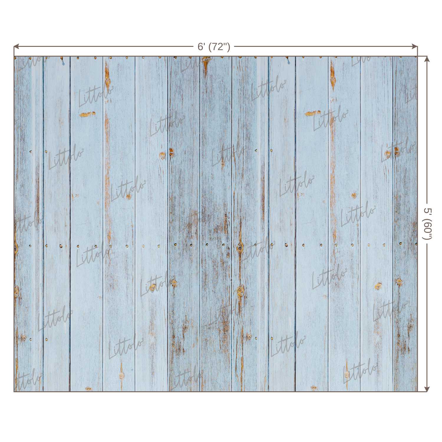 LB0110 Planks Backdrop