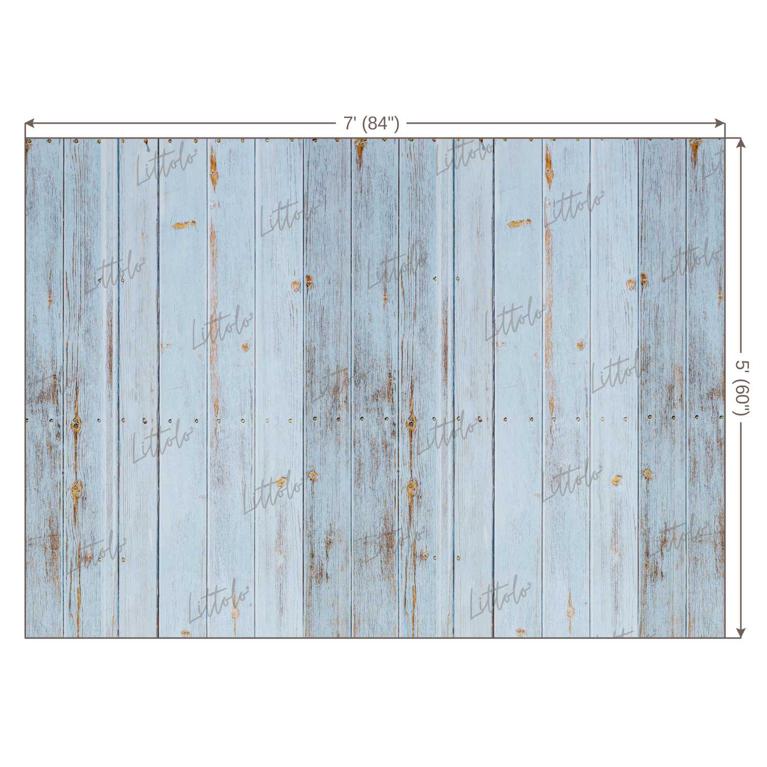 LB0110 Planks Backdrop