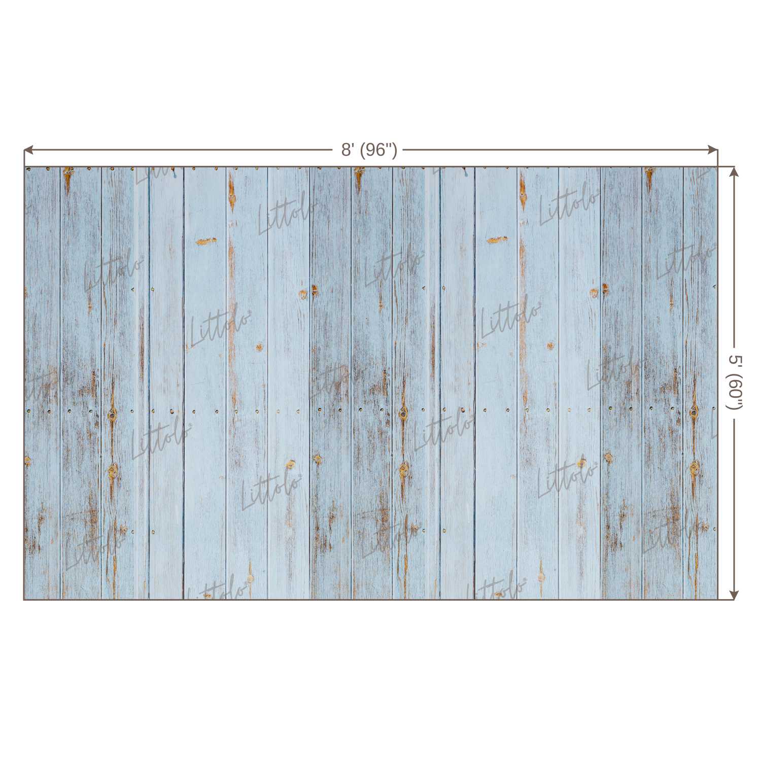 LB0110 Planks Backdrop