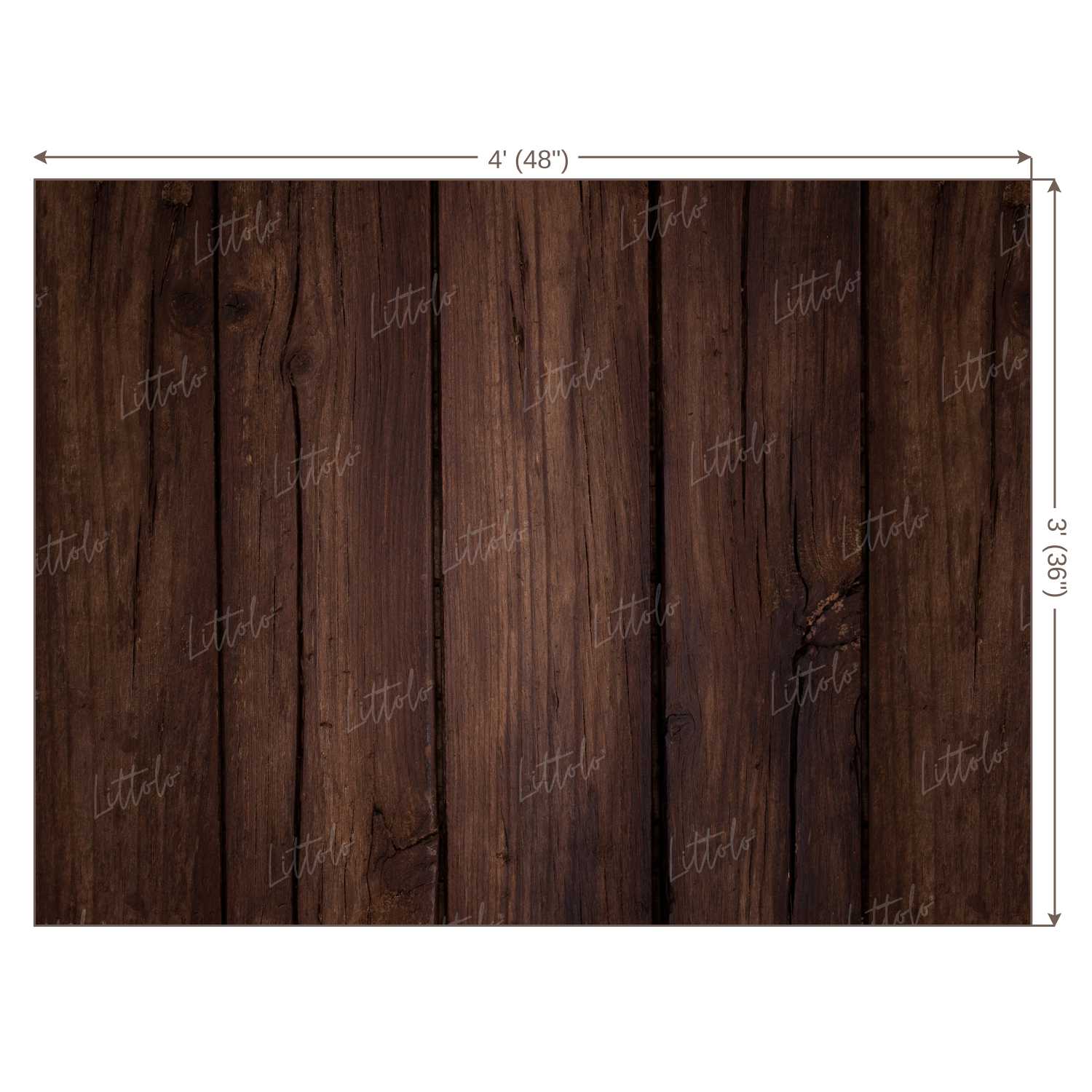 LB0113 Planks Backdrop