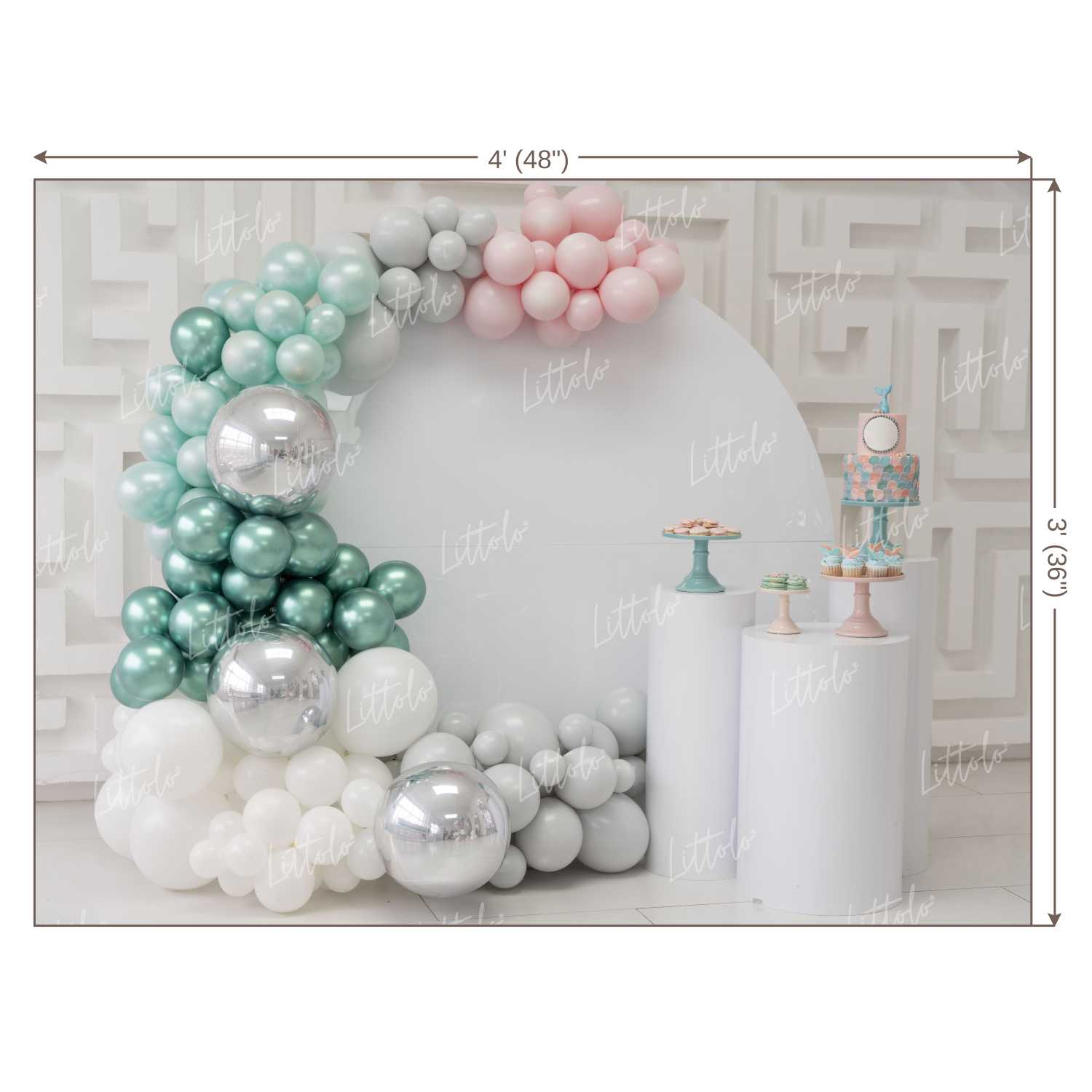 LB0141 Balloons and Cake Smash Backdrop