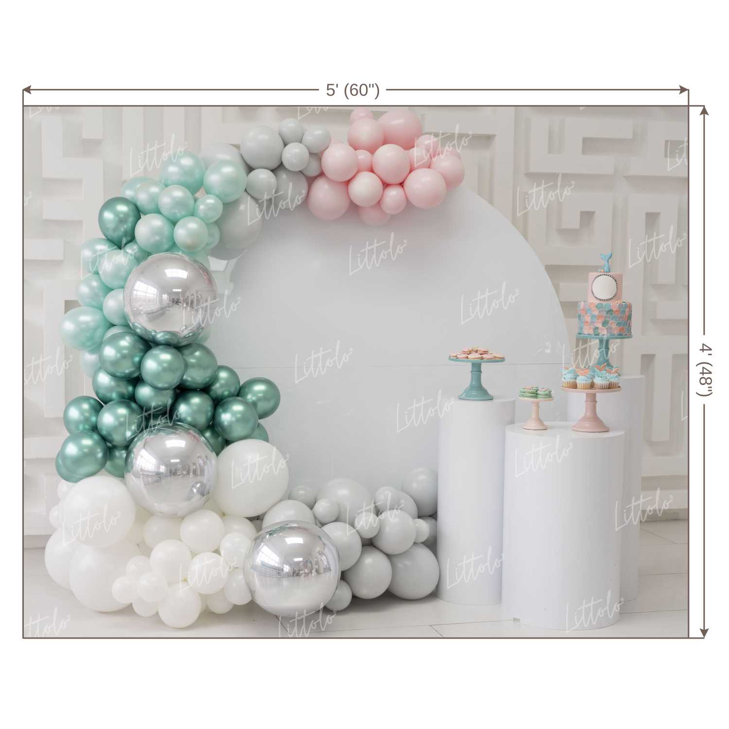 LB0141 Balloons and Cake Smash Backdrop