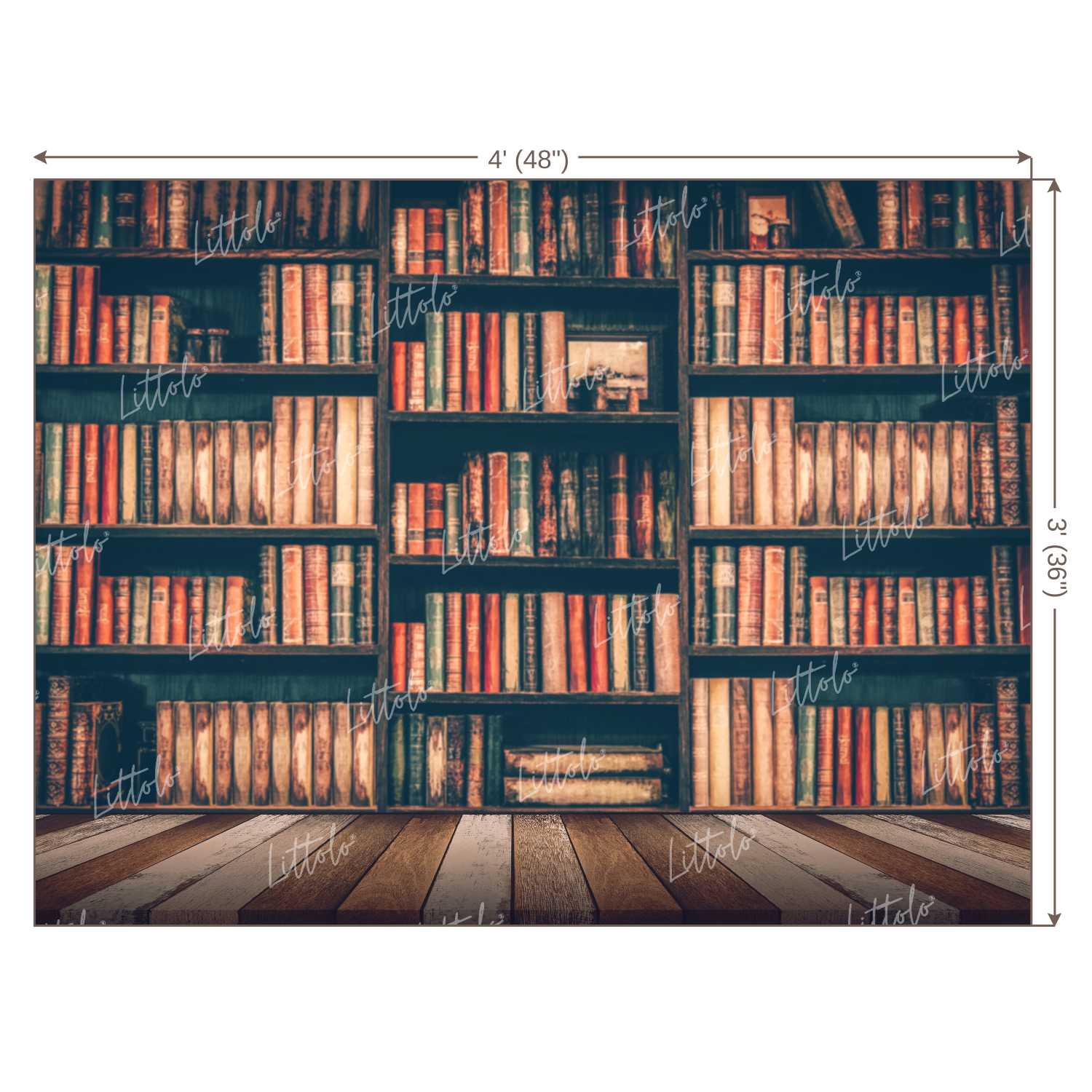 LB0143 Library Style 2 Theme Backdrop