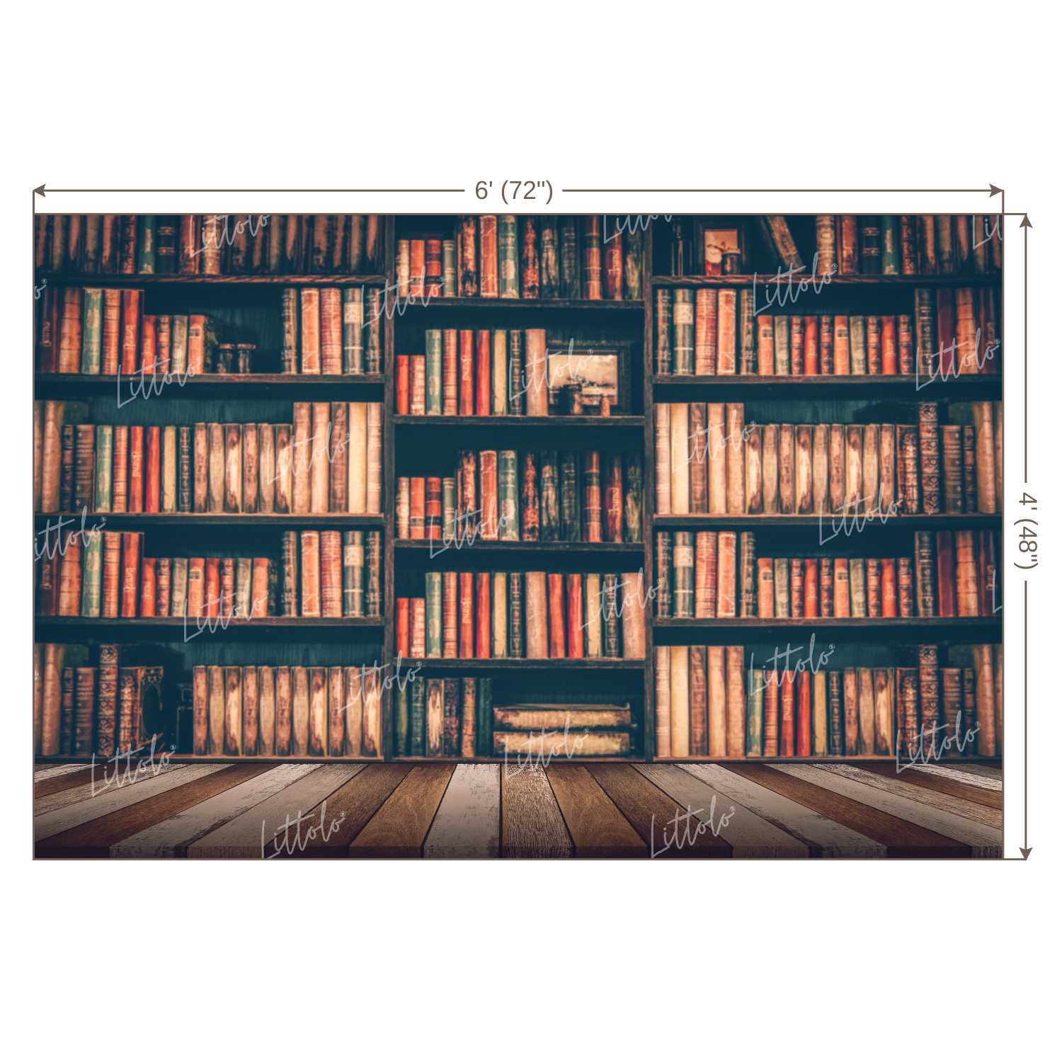 LB0143 Library Style 2 Theme Backdrop