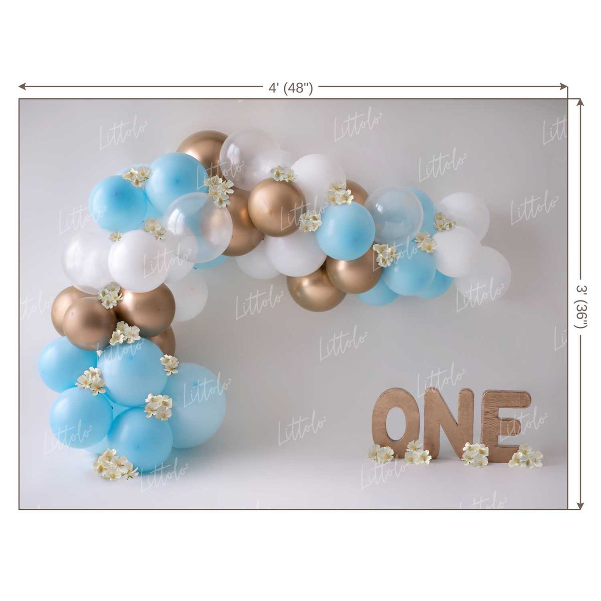 LB0146  Balloons and Cake Smash Backdrop