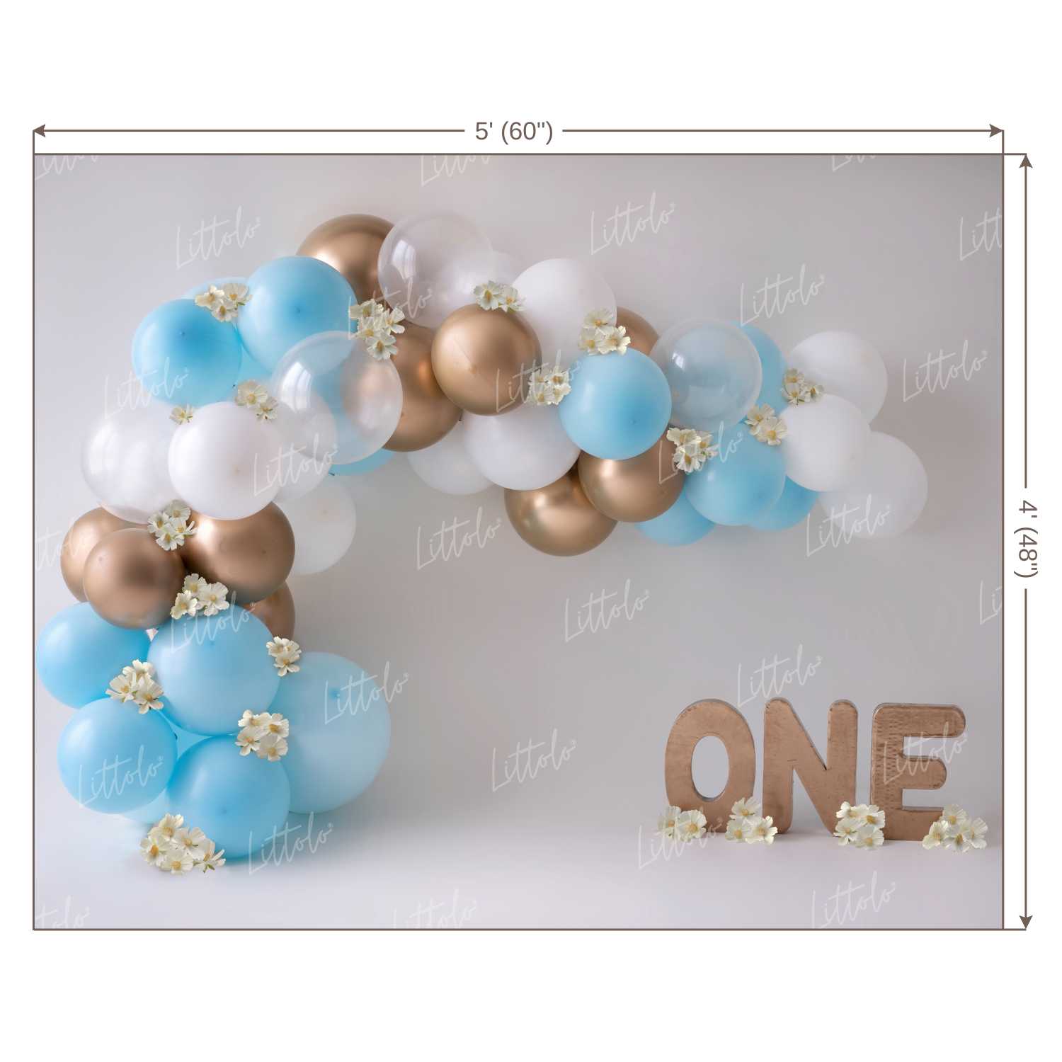 LB0146  Balloons and Cake Smash Backdrop