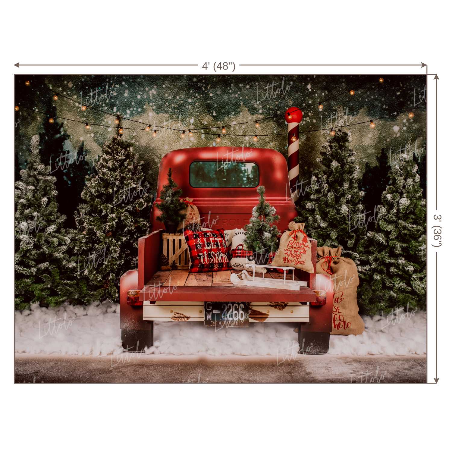 LB0160 Christmas Festivals and Seasons Backdrop