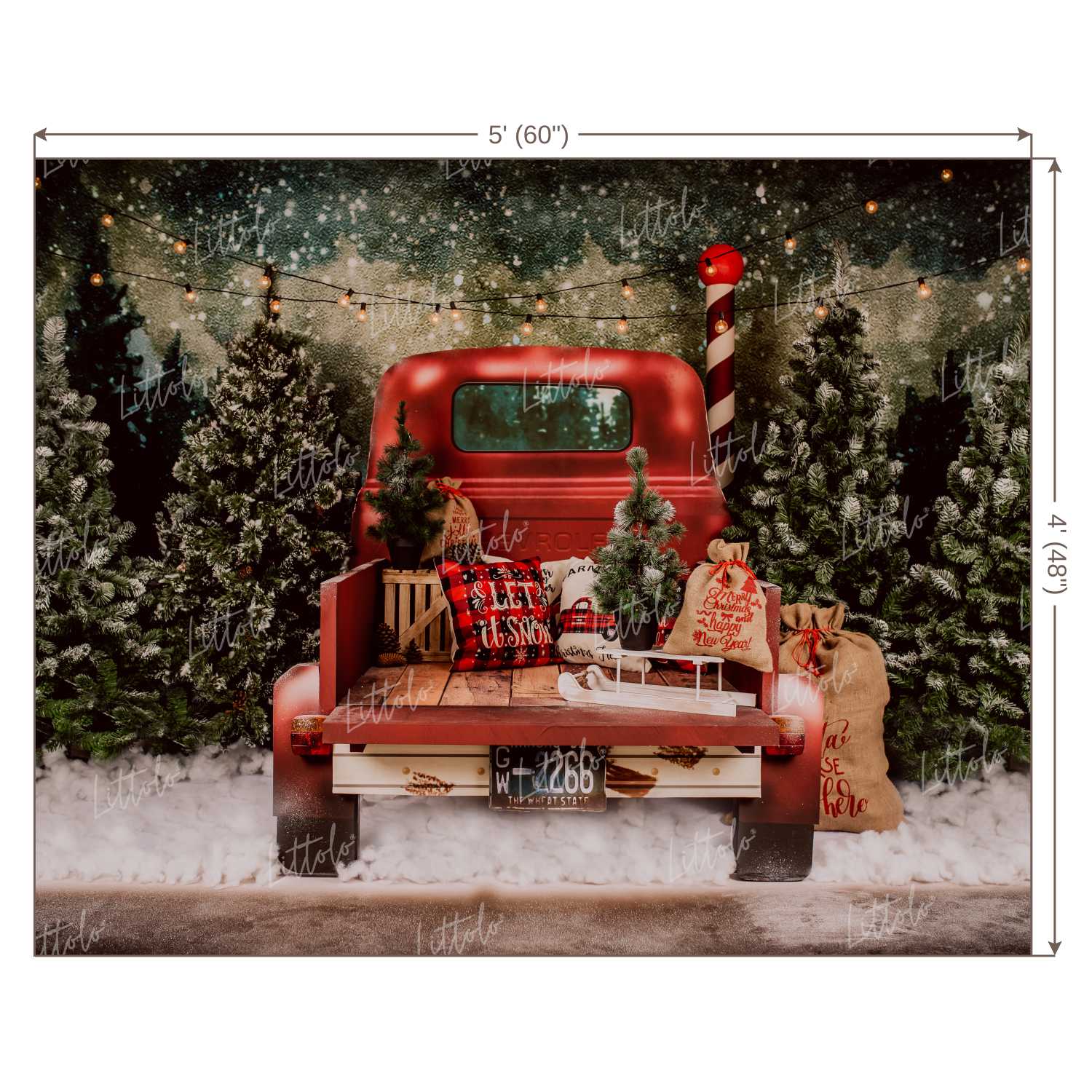 LB0160 Christmas Festivals and Seasons Backdrop