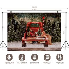 LB0160 Christmas Festivals and Seasons Backdrop