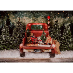 LB0160 Christmas Festivals and Seasons Backdrop