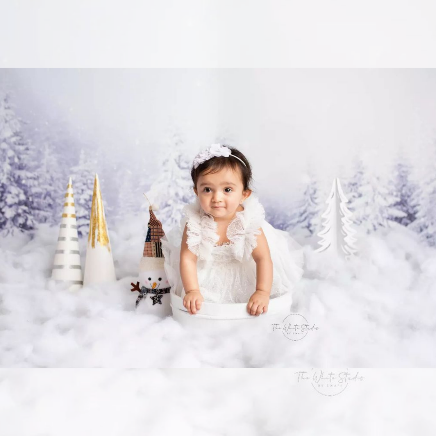 LB0163 Snow Mountain Christmas Trees Theme Backdrop