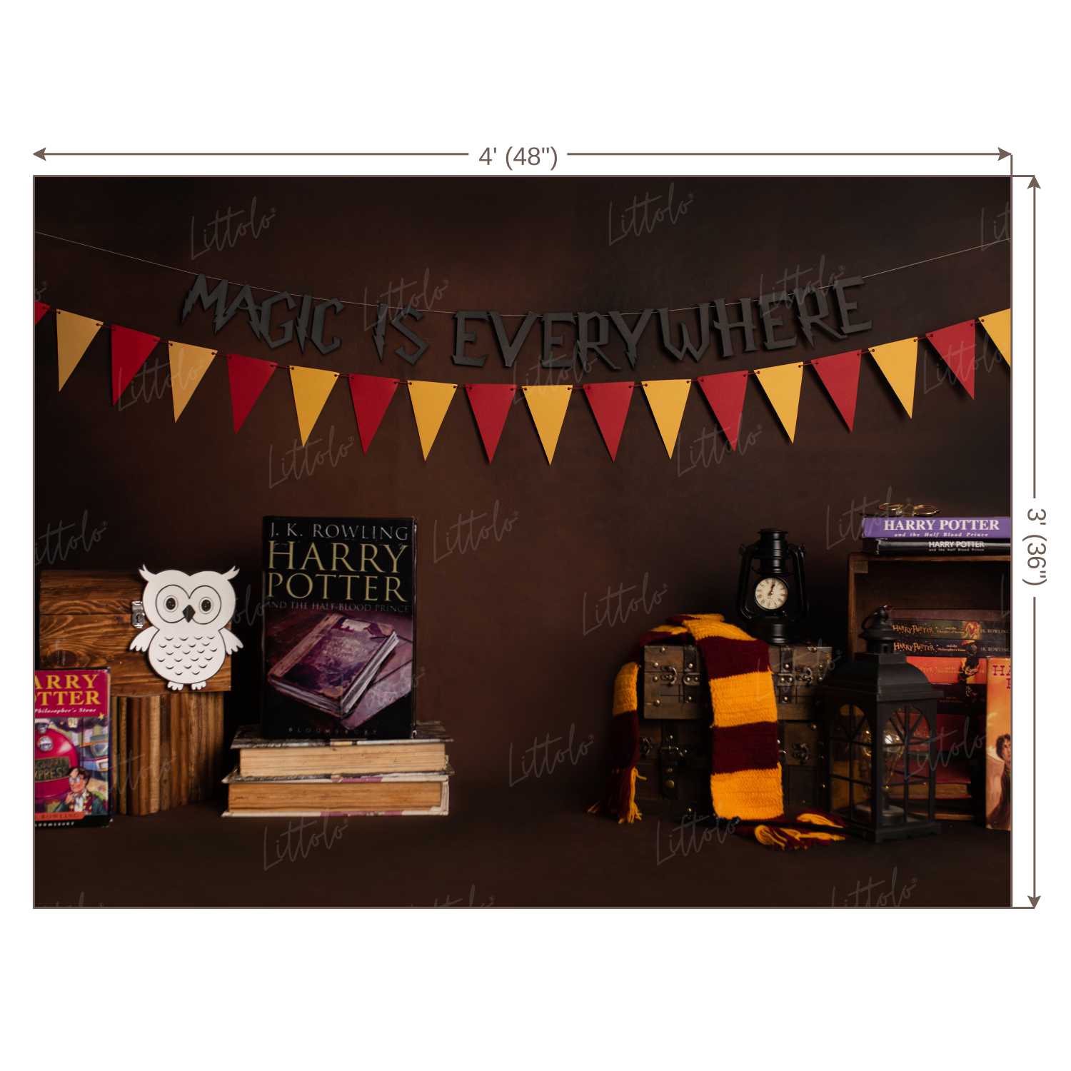 LB0172 Harry Potter Theme Backdrop