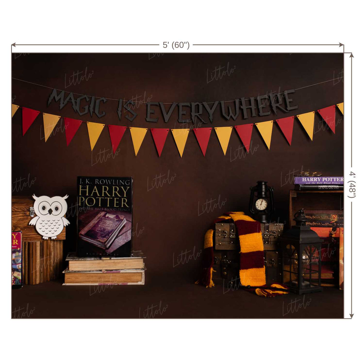 LB0172 Harry Potter Theme Backdrop