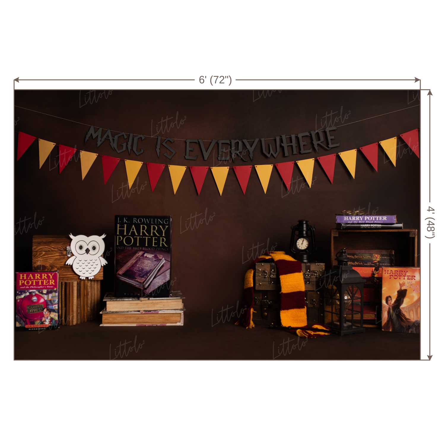 LB0172 Harry Potter Theme Backdrop