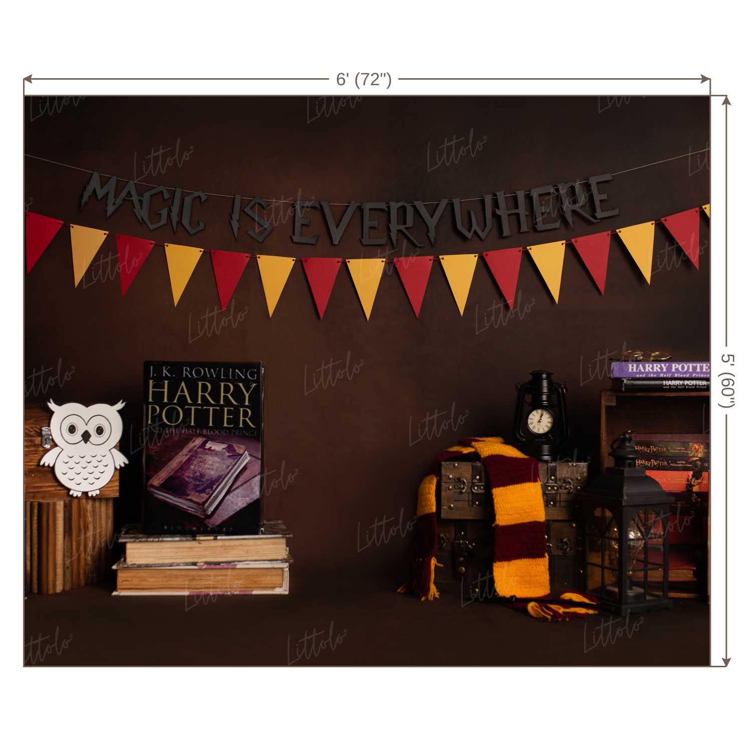 LB0172 Harry Potter Theme Backdrop