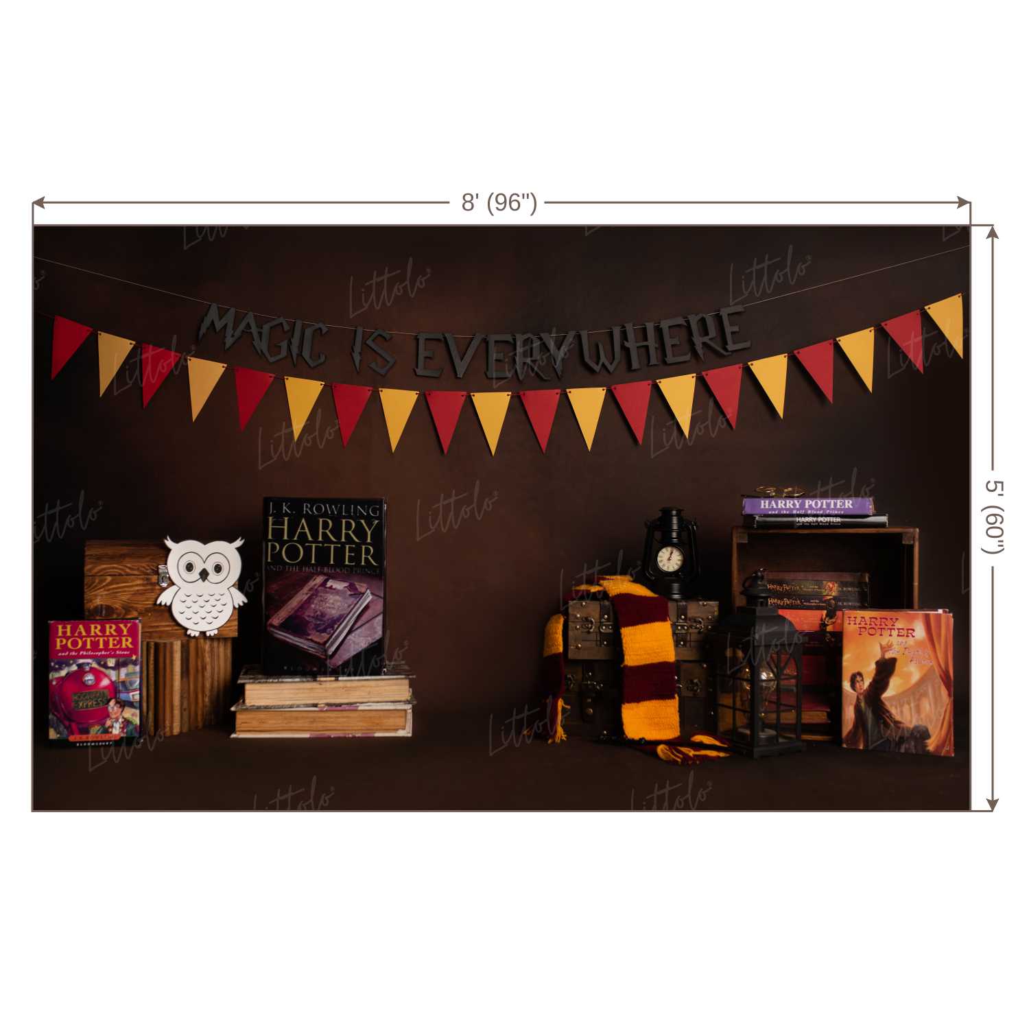 LB0172 Harry Potter Theme Backdrop