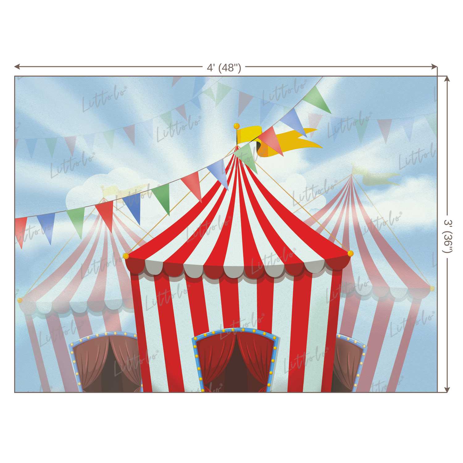 LB0193 Circus Theme Backdrop