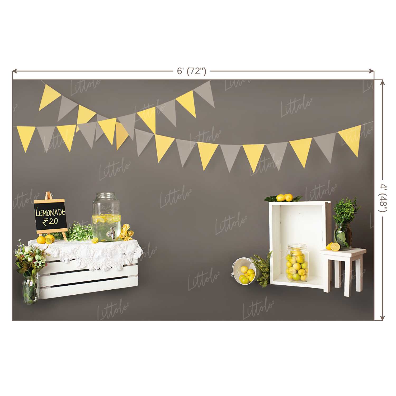 LB0205 Theme Backdrop