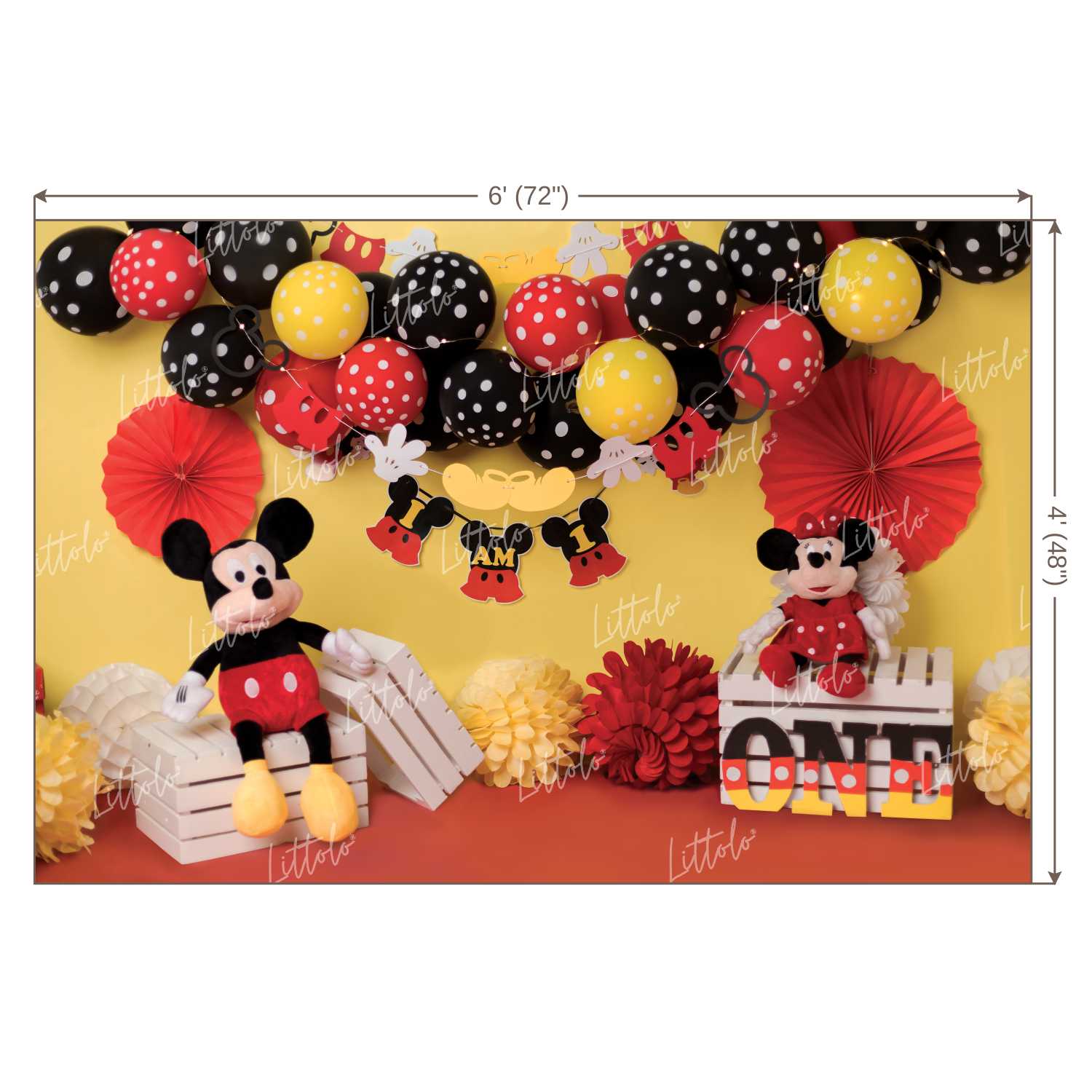 LB0206 Mickey Minnie Mouse Theme Backdrop