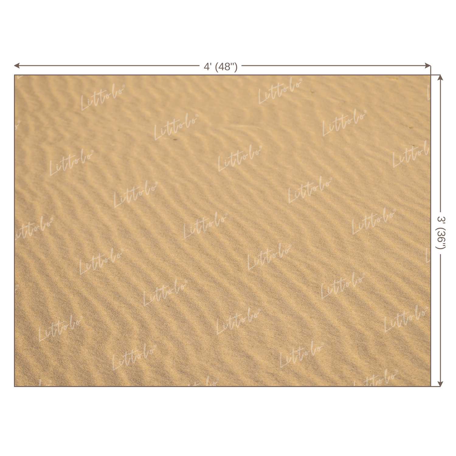 LB0210 Desert Sand Theme Backdrop