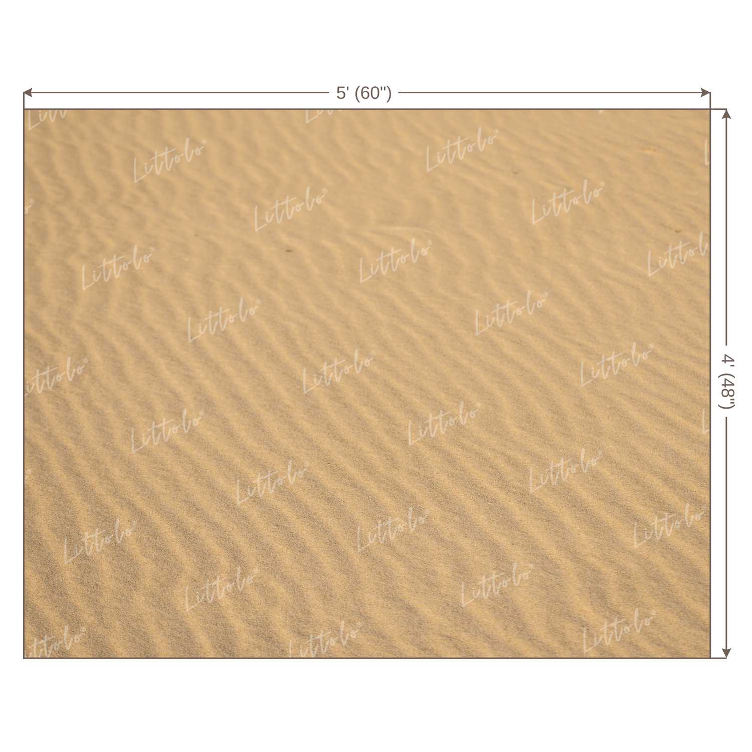 LB0210 Desert Sand Theme Backdrop