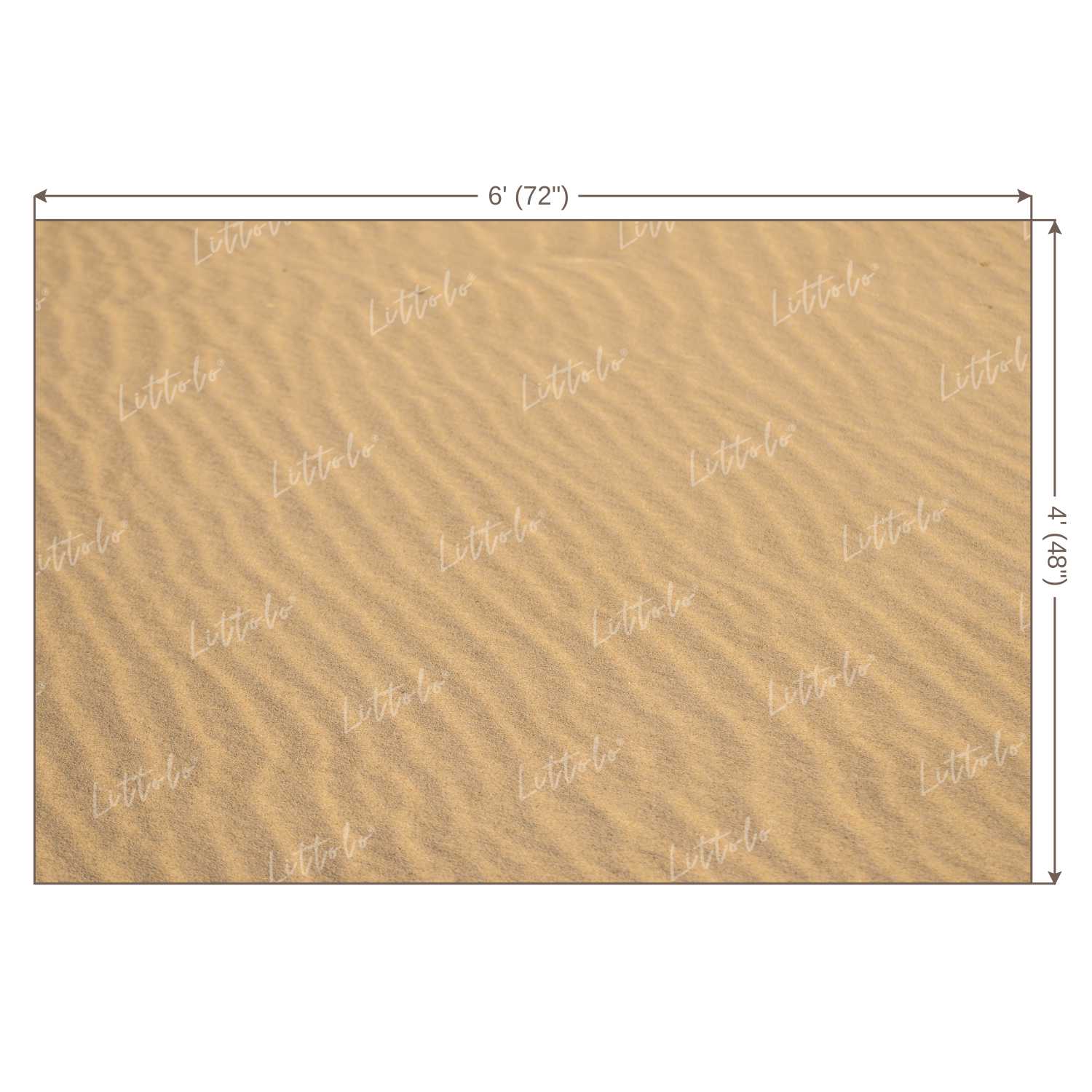 LB0210 Desert Sand Theme Backdrop