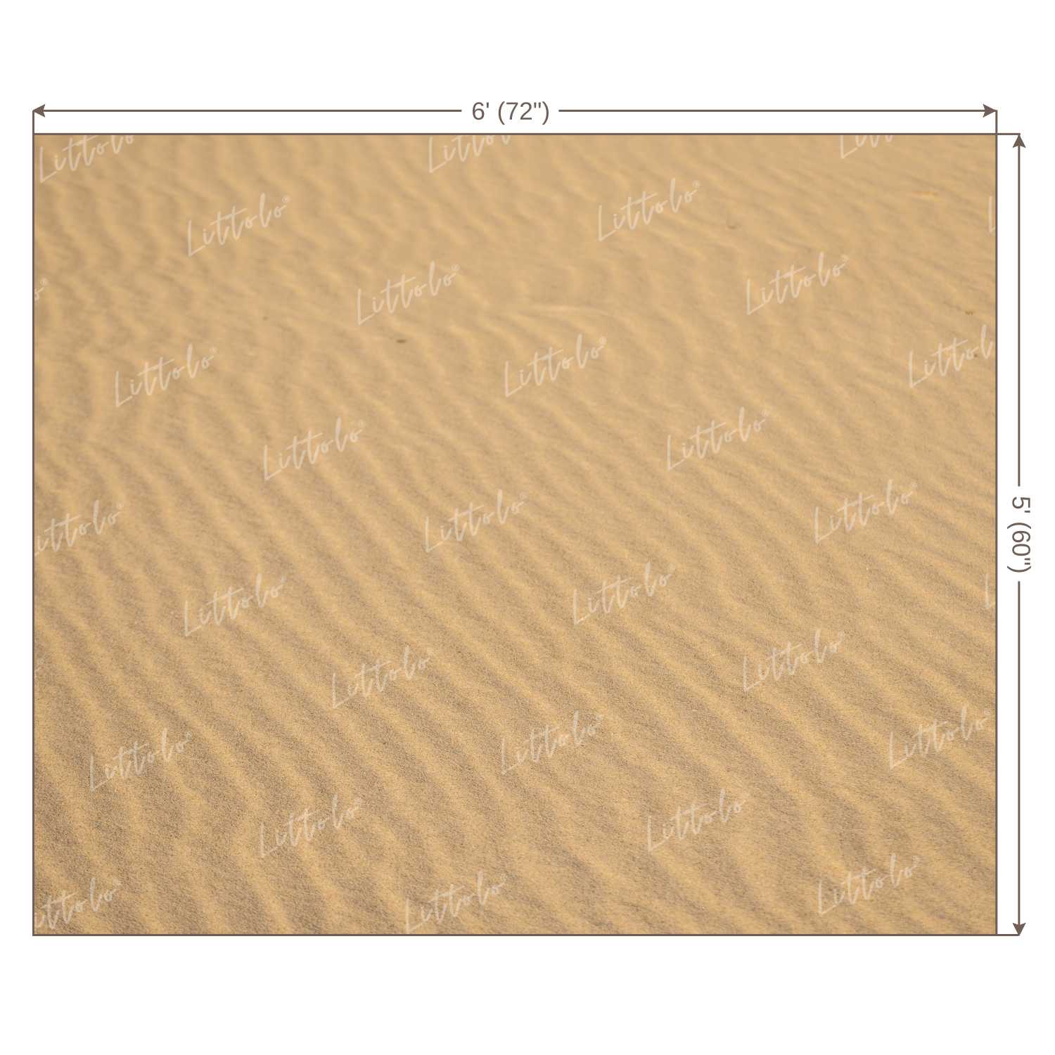 LB0210 Desert Sand Theme Backdrop