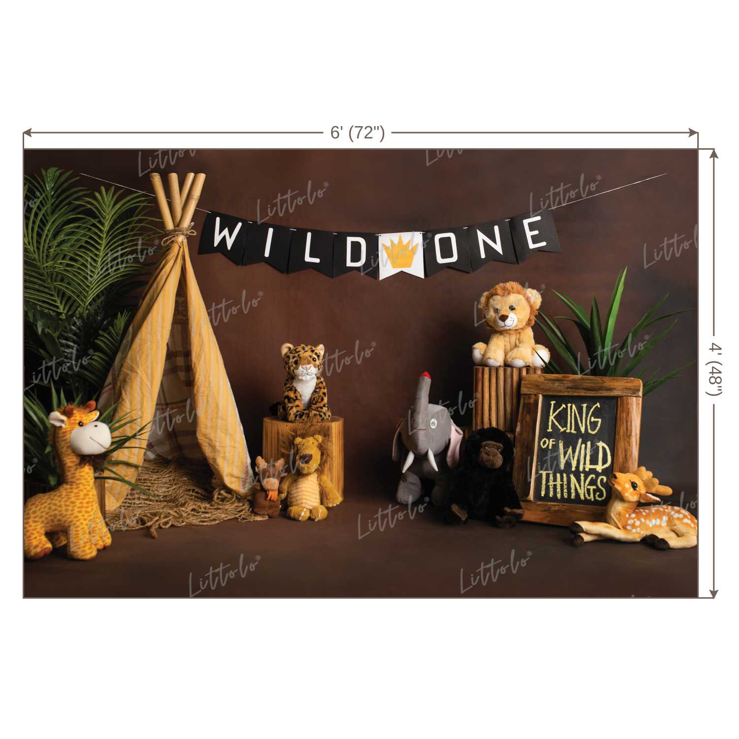 LB0212 Wild ONE Theme Backdrop