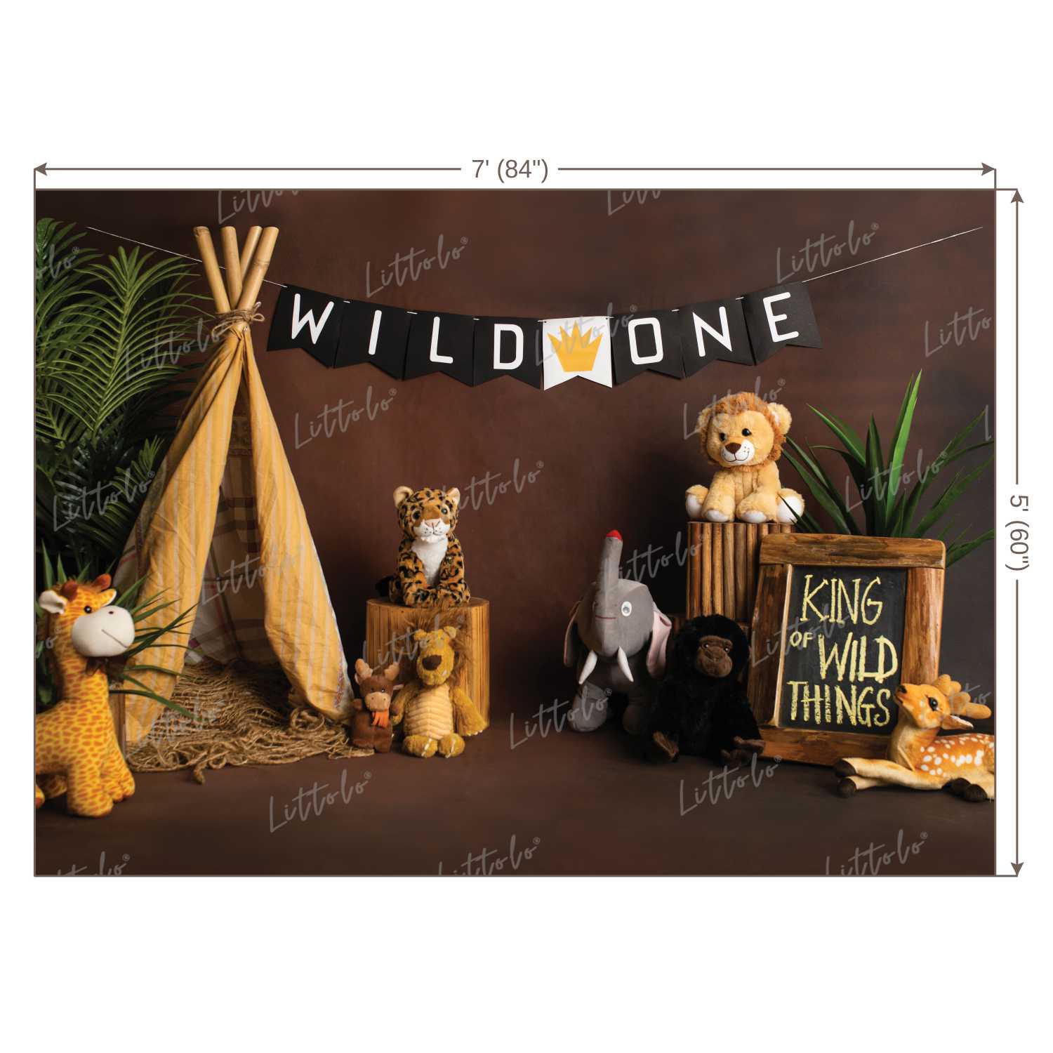 LB0212 Wild ONE Theme Backdrop