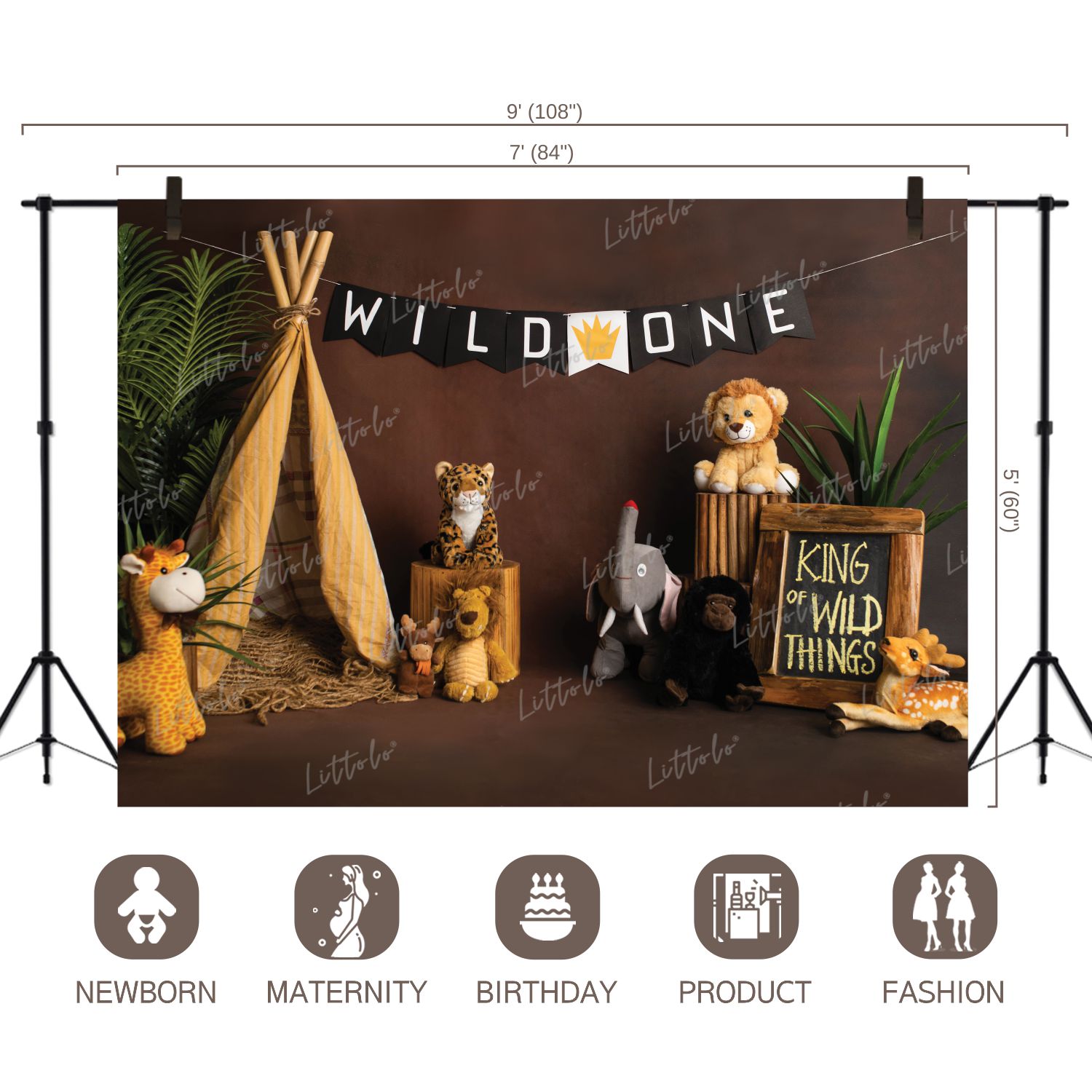 LB0212 Wild ONE Theme Backdrop