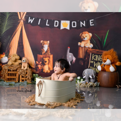 LB0212 Wild ONE Theme Backdrop