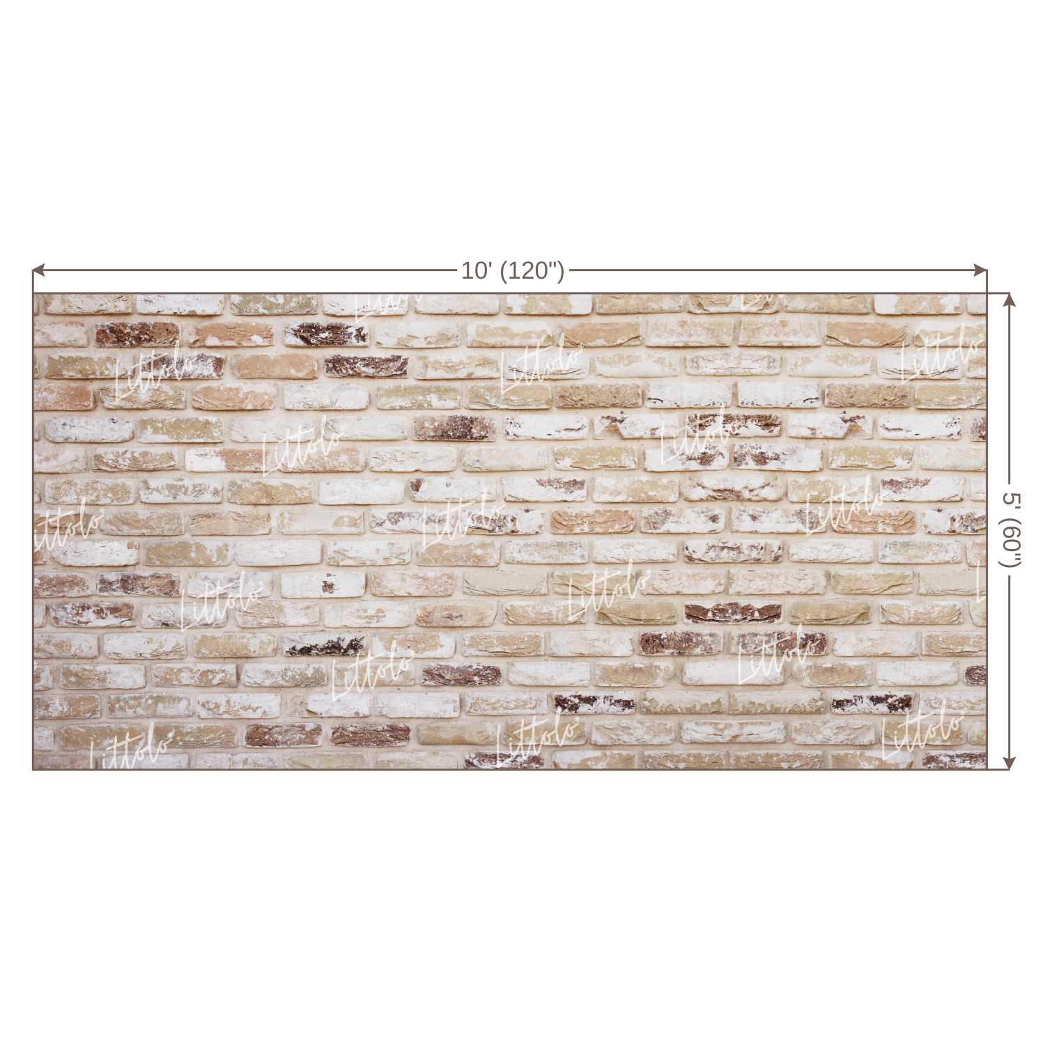 LB0220 Bricks Wall Backdrop