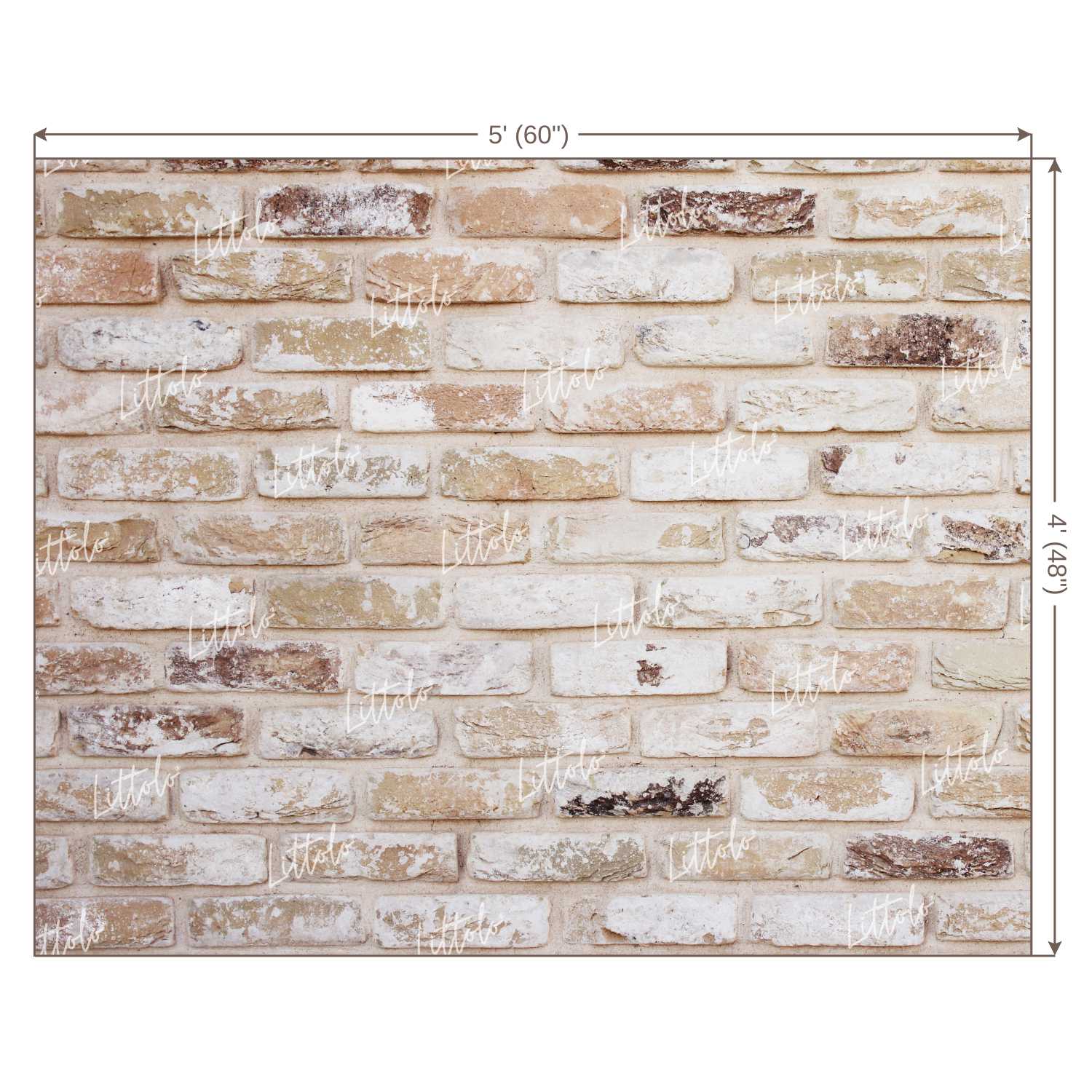 LB0220 Bricks Wall Backdrop