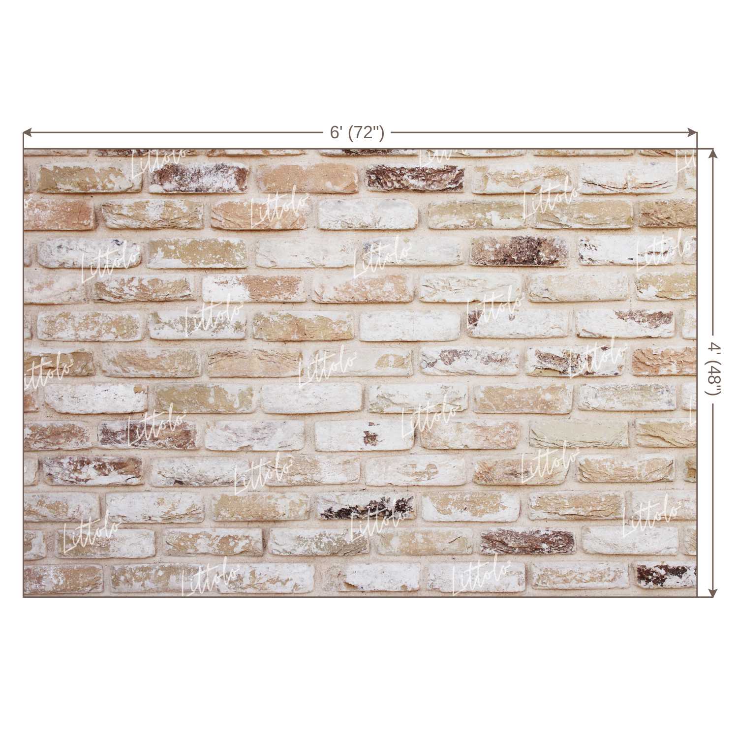 LB0220 Bricks Wall Backdrop