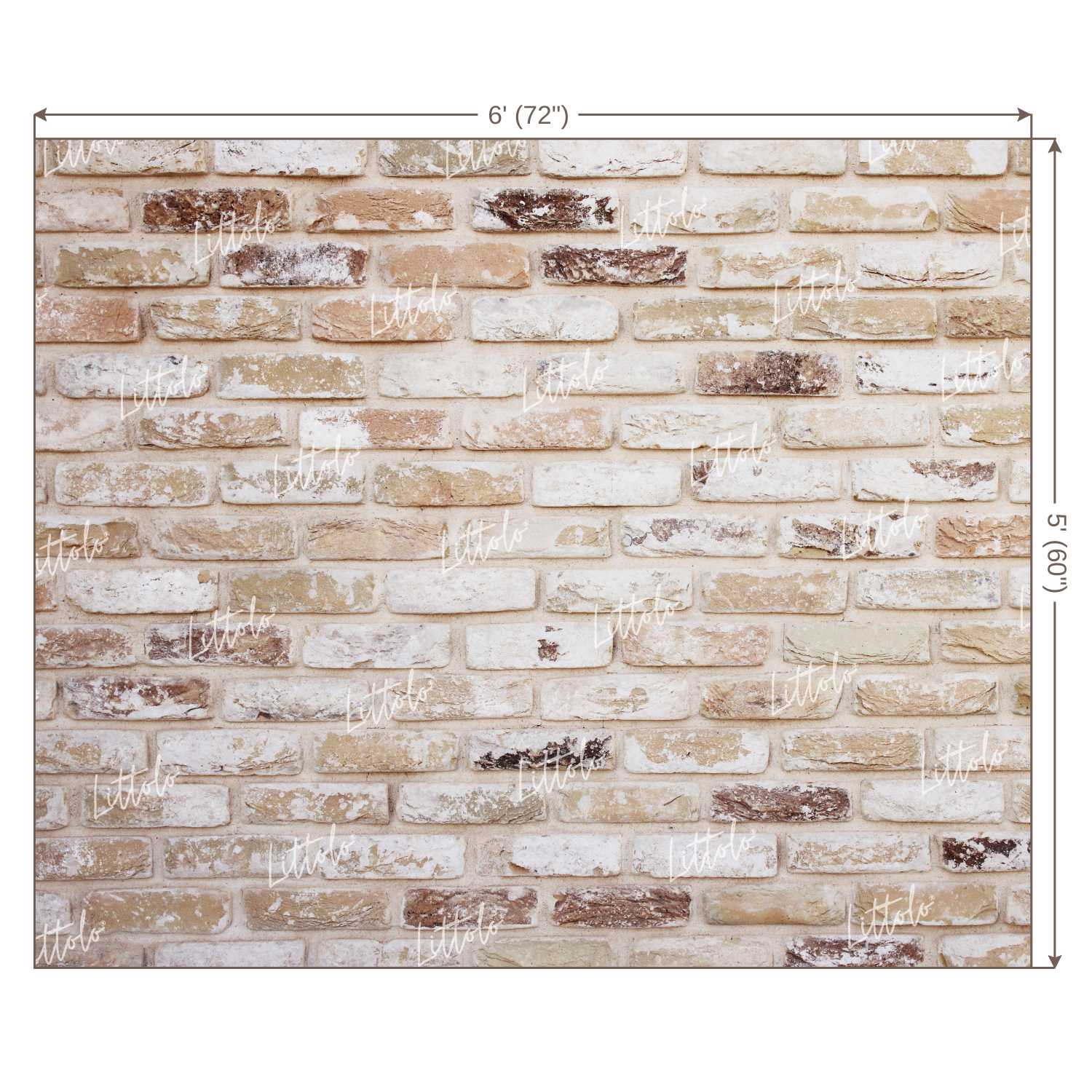 LB0220 Bricks Wall Backdrop