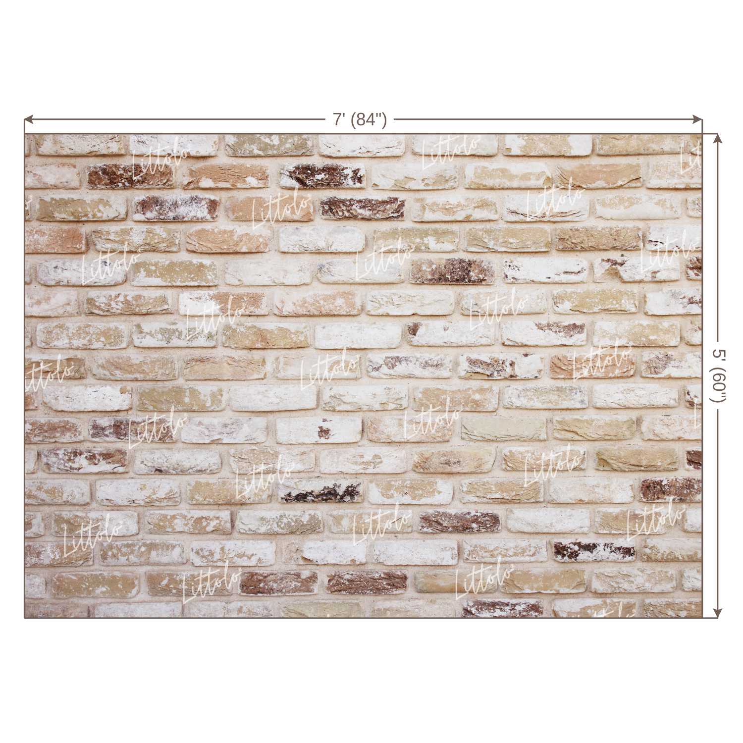 LB0220 Bricks Wall Backdrop