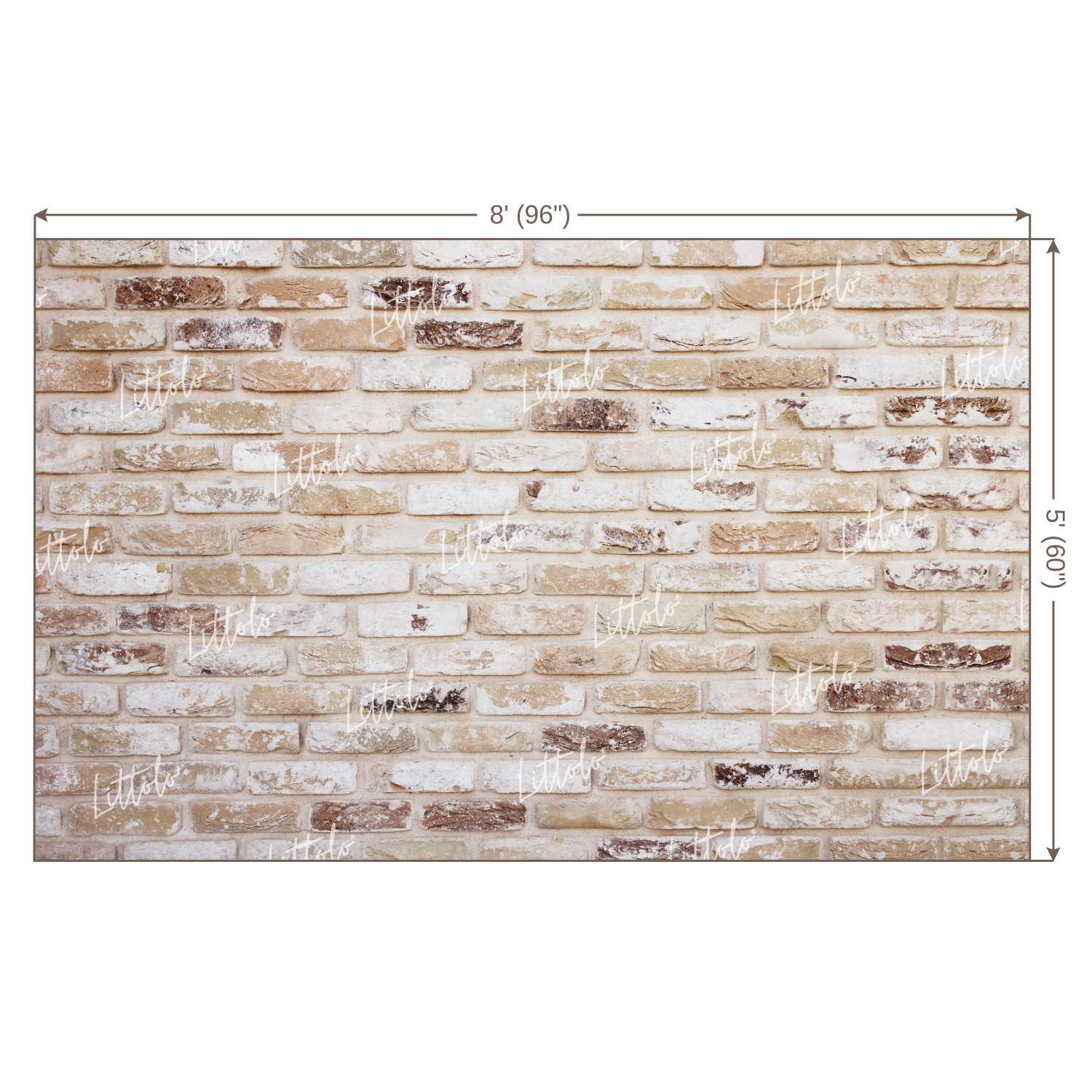 LB0220 Bricks Wall Backdrop