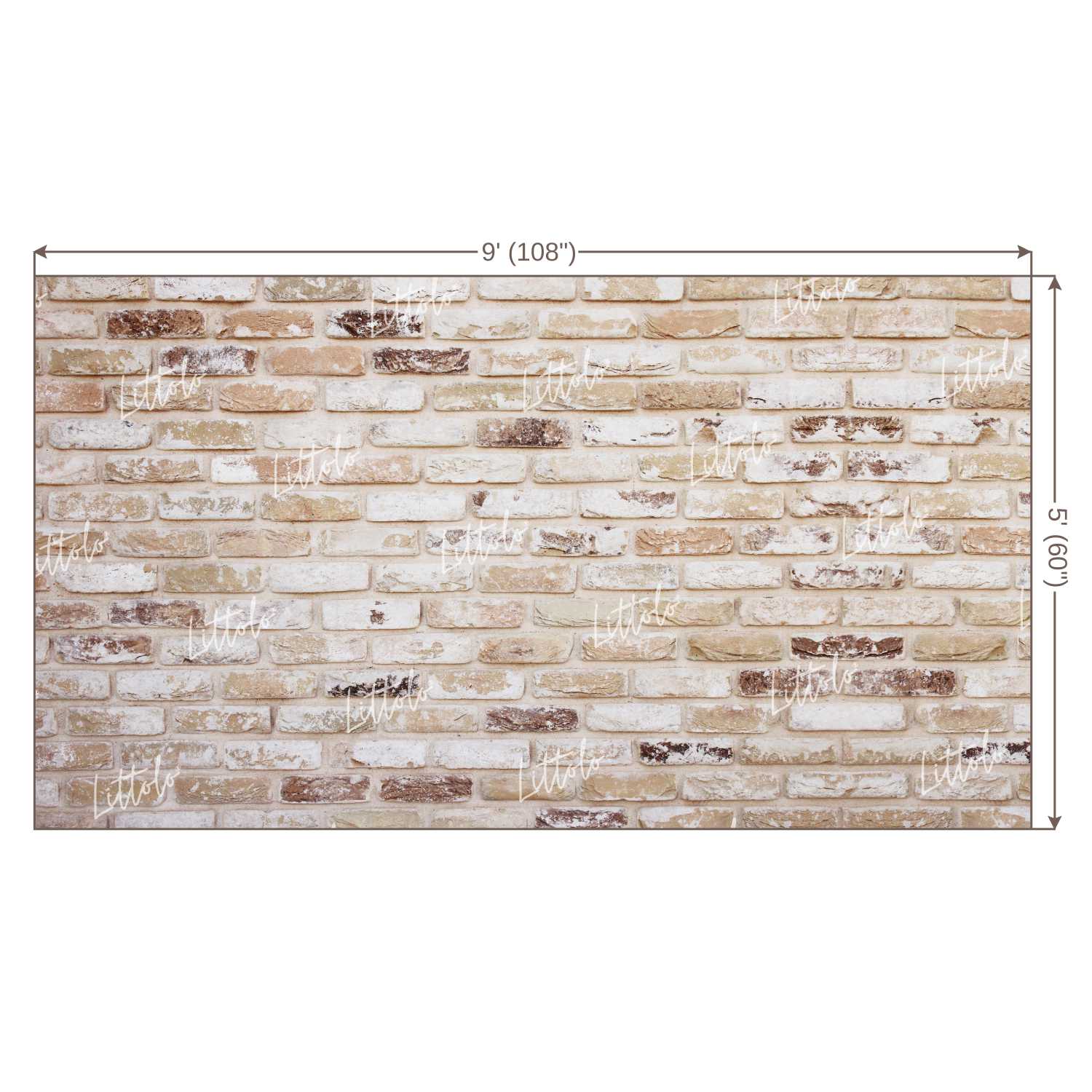 LB0220 Bricks Wall Backdrop