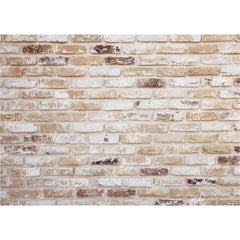 LB0220 Bricks Wall Backdrop