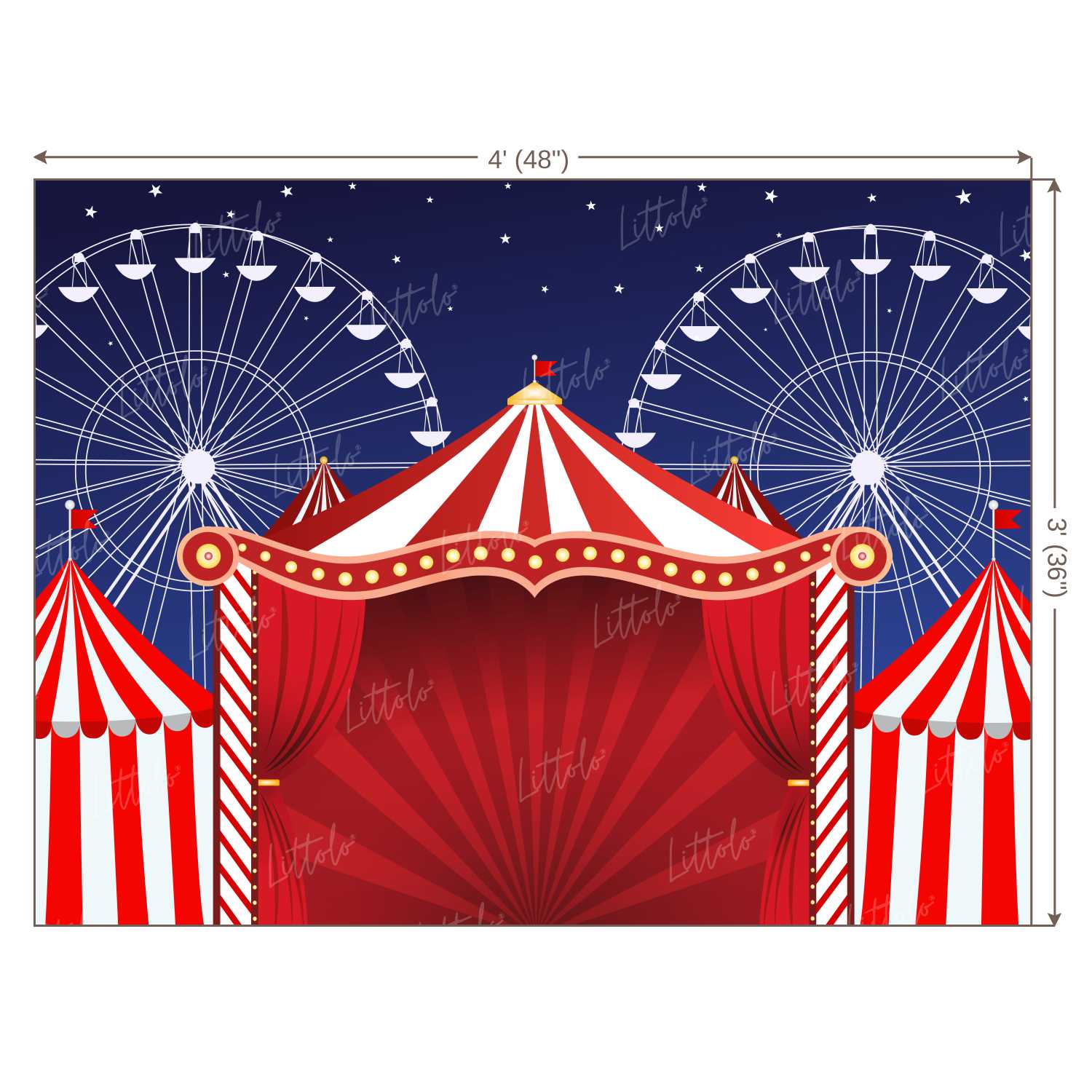 LB0245 Carnival Circus Theme Backdrop