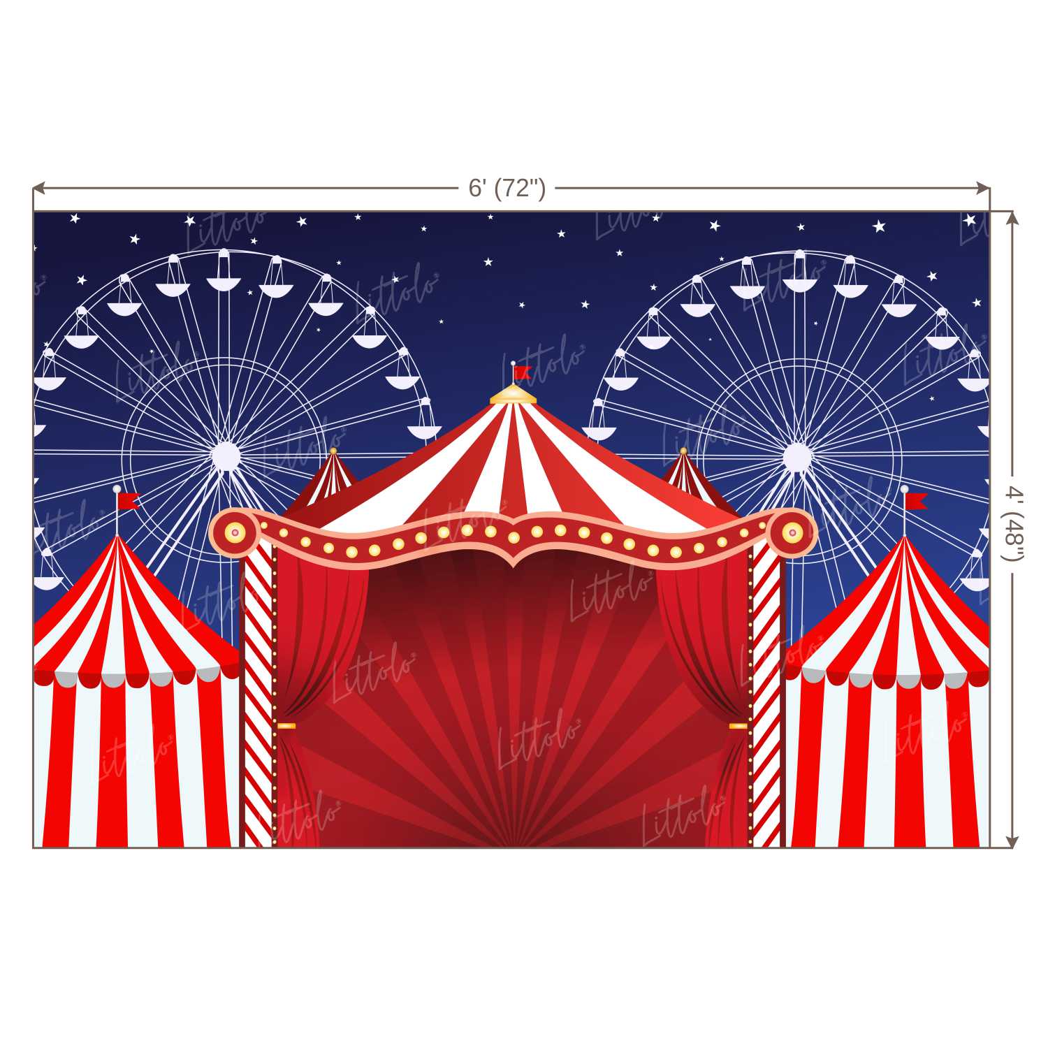 LB0245 Carnival Circus Theme Backdrop