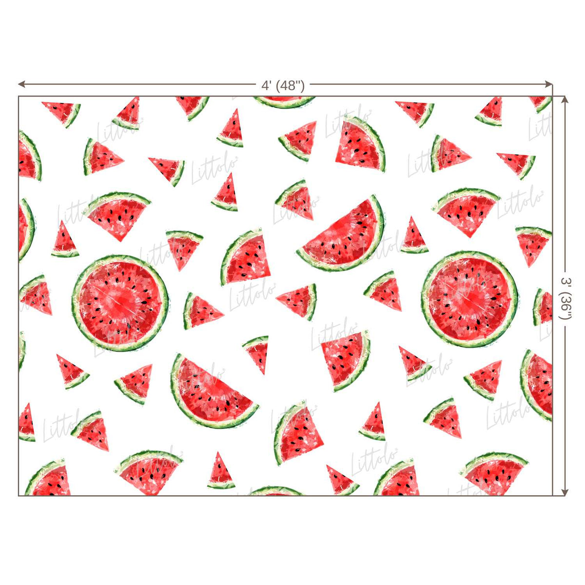 LB0246 Watermelon Fruits Slices Theme Backdrop