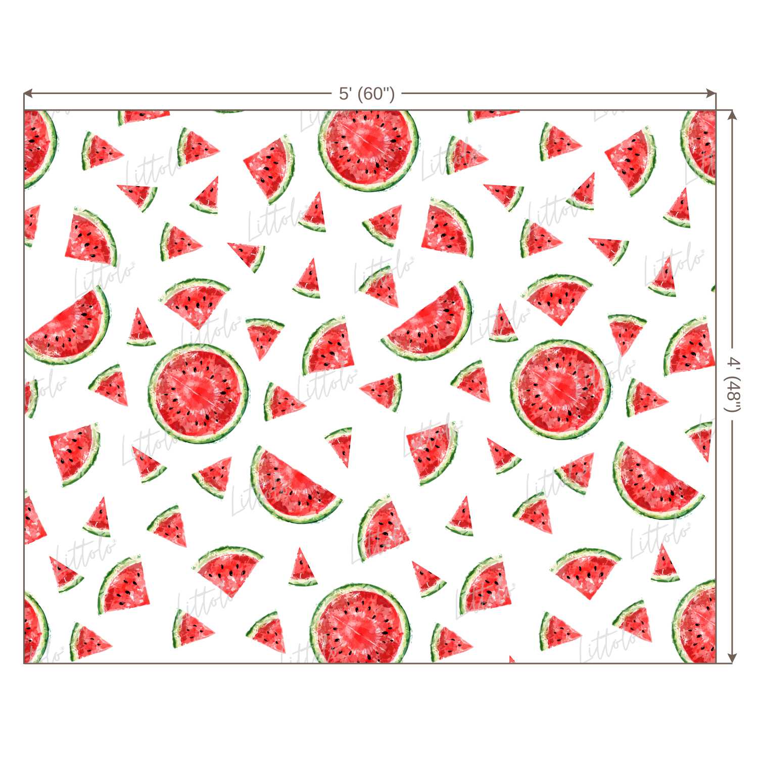 LB0246 Watermelon Fruits Slices Theme Backdrop