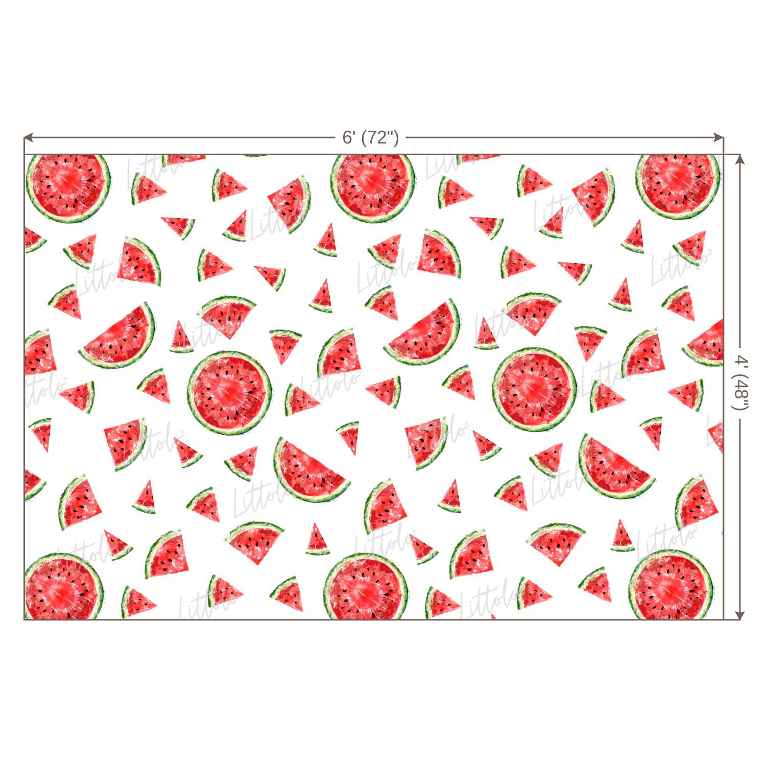 LB0246 Watermelon Fruits Slices Theme Backdrop