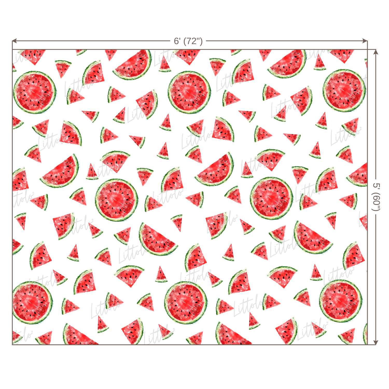 LB0246 Watermelon Fruits Slices Theme Backdrop