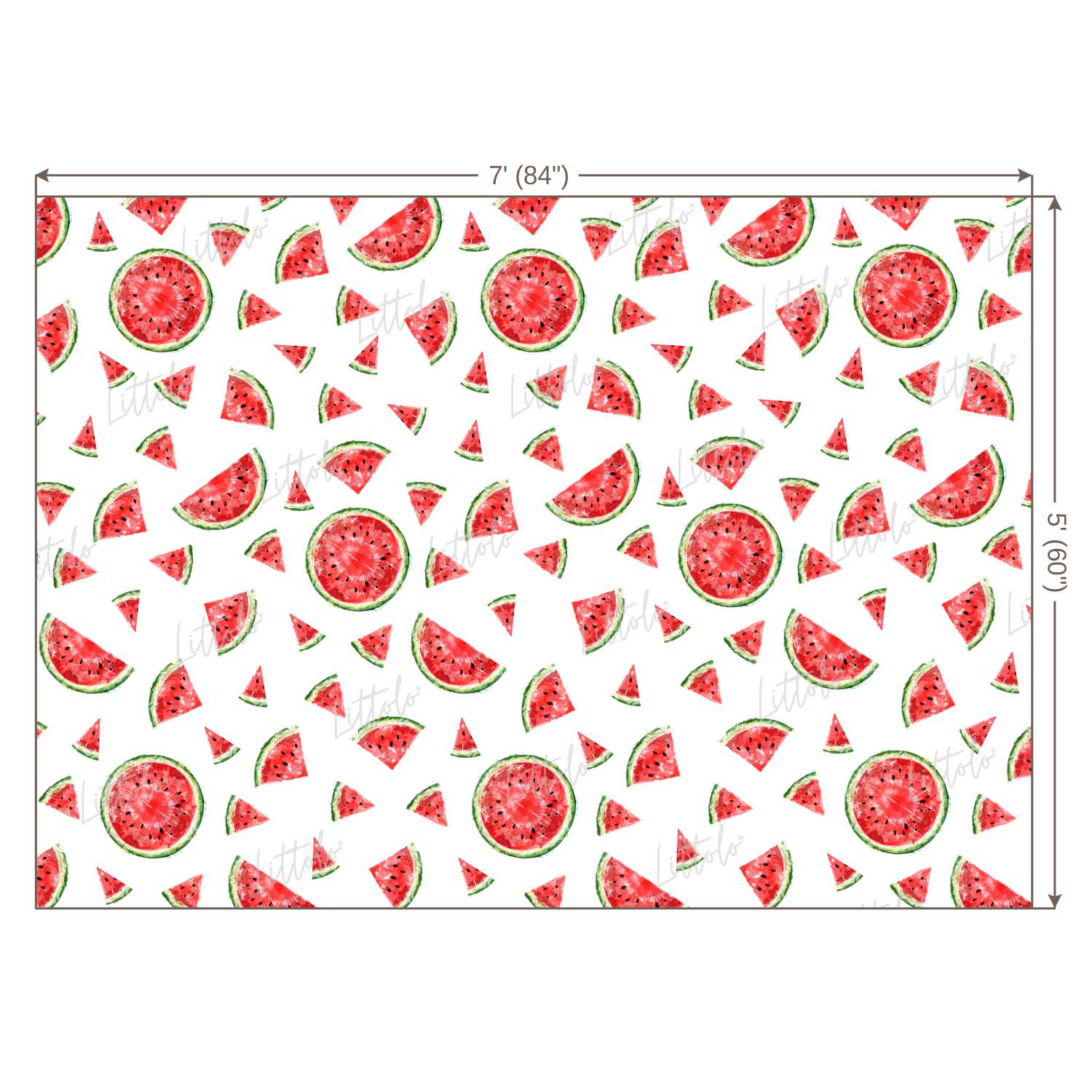 LB0246 Watermelon Fruits Slices Theme Backdrop