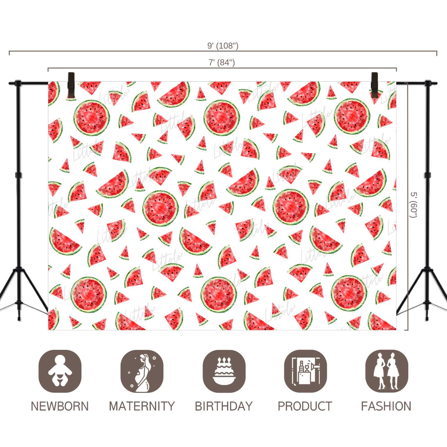 LB0246 Watermelon Fruits Slices Theme Backdrop