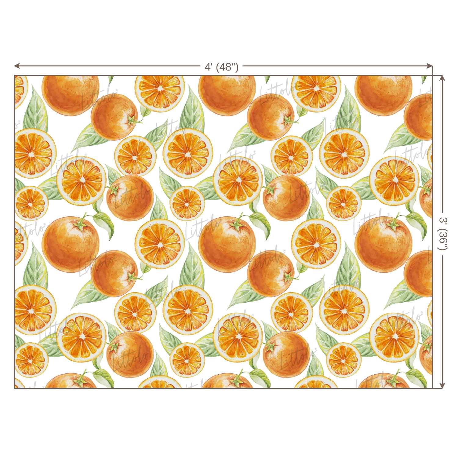 LB0247 Orange Fruits and Slices Theme Backdrop