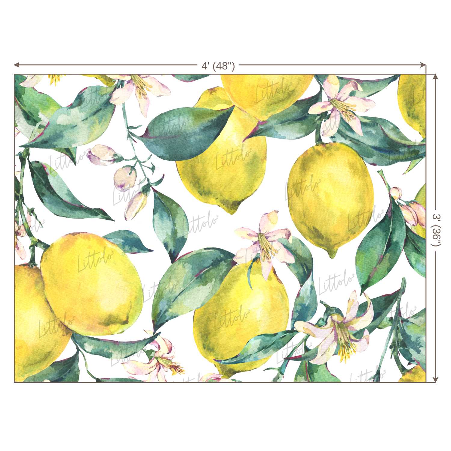 LB0248 Yellow Lemons Fruits Theme Backdrop