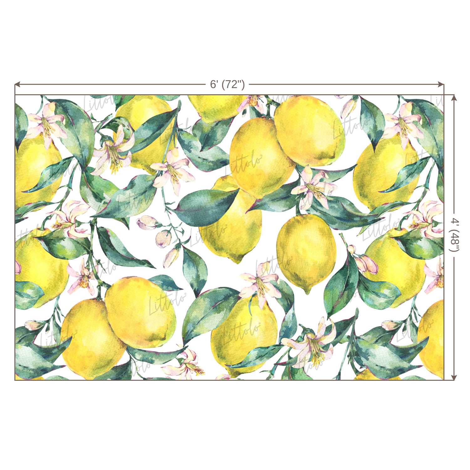 LB0248 Yellow Lemons Fruits Theme Backdrop